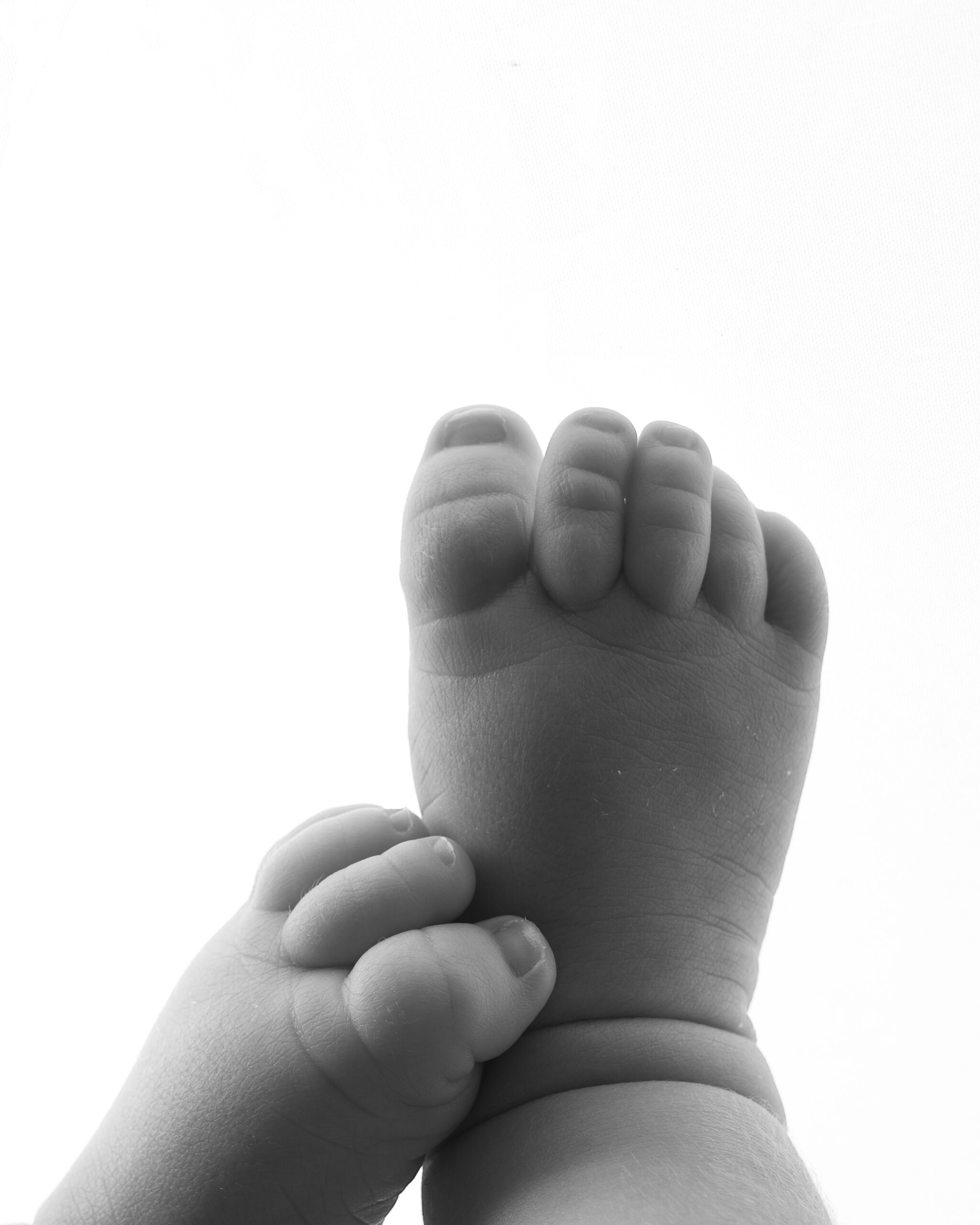 Newborn baby feet