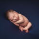 newborn-sample-1032